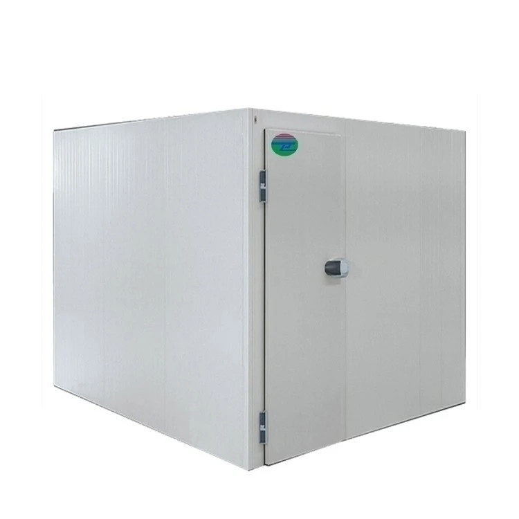 Special Cold Room Design 5Hp Cold Room Condens Unit Cooling Room Cold Storage Construction