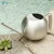 Import stainless steel garden watering can/ Spray water kettle from China