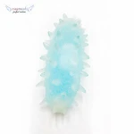 Stress relief toys finger toys simulation toys sea cucumber