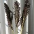 Import Sumflora Nordic style dried flowers Natural sorghum  for decoration preserved flower from China