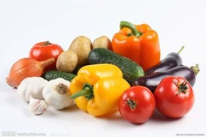 supply all kinds of fresh vegetables