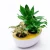 Import SWAN Wholesale custom shape unbreakable kidney succulent  bowl melamine flower vase from China
