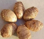 THE MOST COMPETITIVE PRICE OF IQF FRESH TARO
