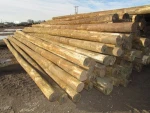 TIMBER POLES FOR CONSTRUCTION