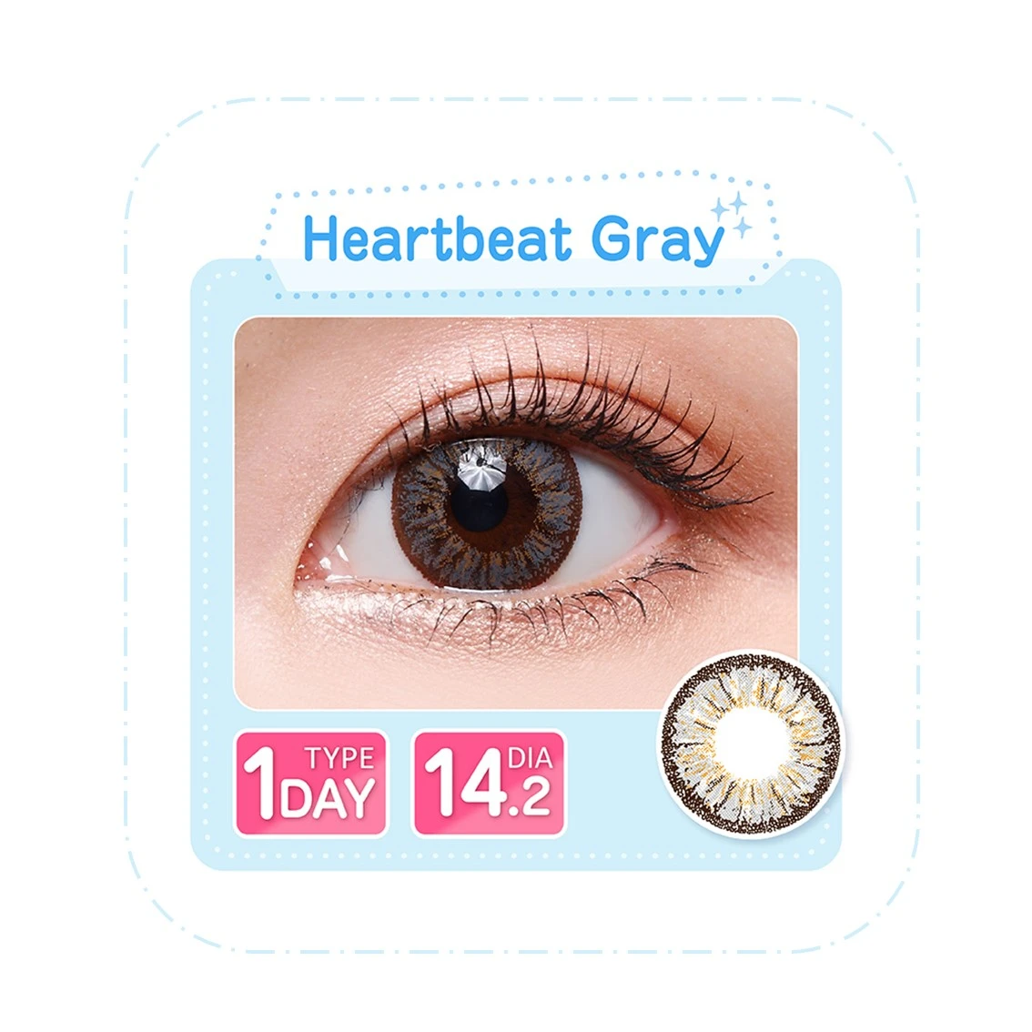 Timido 38% Daily Soft Color Contact Lenses | Kiss Brown | Wholesale | Nice Quality | Factory Price | 10 pieces