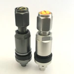 Tire Valve Stem With Logo Cap