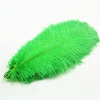 TN-01 45-50cm Cheap Colorful Male Ostrich Feather for Wedding