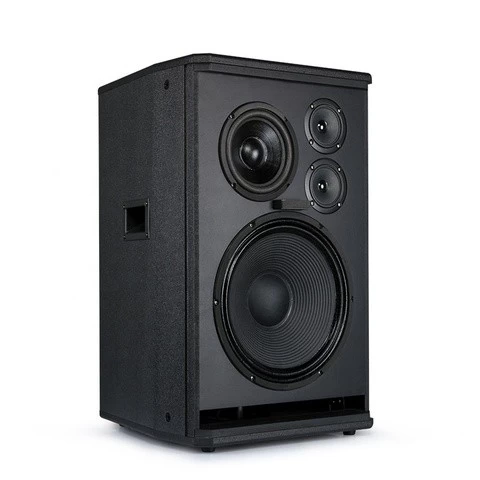 Tonewinner PA-120N 300W big powered karaoke pa professional bass speakers audio system sounds speakers