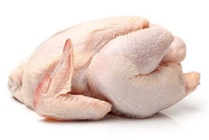 Top Quality Brazilian Quality Halal Frozen Whole Chicken and Parts, Gizzards , Thighs , Feet, Paws, Drumsticks/Affordable