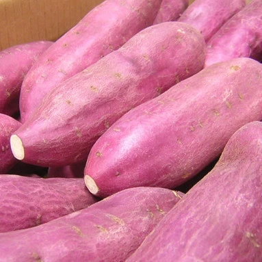 TOP SALES - SWEET POTATO FROM TURKEY  WITH HIGH QUALITY AND COMPETITY PRICES