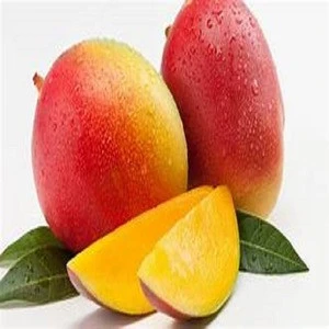 TOP WHOLESALE Fresh  Mangoes