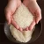 Import Umami healthy Koji Powder making food tasty from Japan