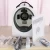 Import UV+RGB+PL light skin camera analyzer with CE approval from China