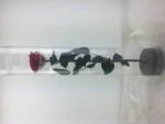 Valentines day mother gift natural craft beatiful preserved rose flower flowers long stem