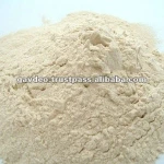 VITAL WHEAT GLUTEN