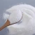 Import washing detergent powder  cheap detergent washing powder washing powder production from China
