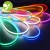 Import Waterproof Different Color Led Neon Flex Rope Light 12V for Decoracion from China