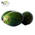 Import whole sale sweet new fresh green raw Betel nut / Areca nut from China