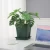 Import Wholesale colorful plastic flower pot,cheap flower pots,luckybamboo pots from China