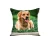 Import wholesale custom printed linen cushion cover 45X45 from China