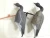 Import wholesale HDPE/EVA plastic canada goose, hunting wild goose decoys. from China