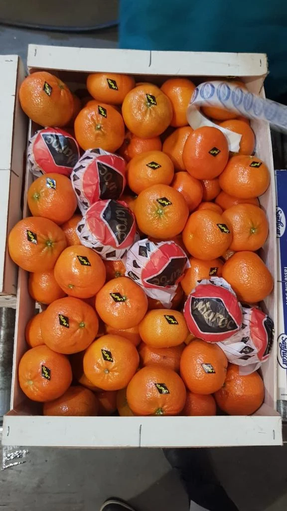 Wholesale healthy fresh fruit importers export sweet mandarin orange