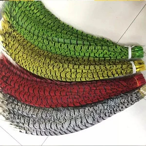 Wholesale high quality and cheap Cheap long Dyed Lady Zebra Pheasant Feather for carnival