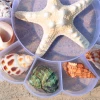 Wholesale Home Decoration Mixed Natural Sea Shells Collect Box