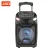 Import Wholesale OEM Customize Dj Karaoke Active Chargeable Trolley Disco Light Boss BT Speaker from China