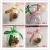 Import Wholesale openable plastic round /heart shape for decoration wedding supply from China