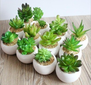 Wholesale price Mini Artificial Plants Plastic Succulent Artificial Plants For Decoration