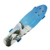 wholesale promotional Customized 22*6inch Outdoor Sports Skateboarding cruiser Long Skate Board skateboard for adult