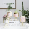 Wholesale simply Indoor Cylinder Ceramic Succulent pots planter with golden metal stand, Ceramic Cactus Planter Pot