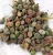 Import Wholesale varieties Mini succulent Lithops lesliei bonsai from China