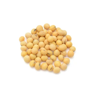 Wholesale Yellow Soybeans Seed Soy Bean Oilseed Crop