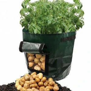 YKSP-395Hot New Products Foldable Tomato Potato Grow Bag Felt Planting Bag PE Reusable Planter Grow Bag