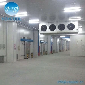 YOYCOOL cold room with cooling aggregate cold storage with hot promotion