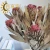 Import Yunnan dried flower wholesale Straw chrysanthemum small Daisy flower head colorful chrysanthemum head from China