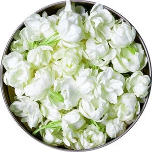 ZSL-HT-002 Detox Competitive Price Food Grade Flower Jasmine Buds Whole Dried tea bag herbal tea