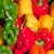 Import Hot Sale Fresh color capsicums / bell pepper / green color red bell pepper from South Africa