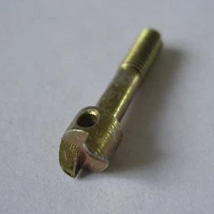 anti-theft screw