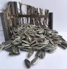 Natural Sunflower Seeds Oil Seeds Naturally Dried Farm Fresh Sunflower Seeds Food & Feed Grade