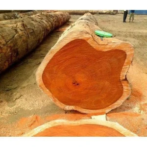 Padouk Wood Furniture Timber Wood Slab Decking Raw Plank Wood Board for Flooring