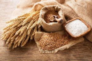 High quality all purpose wheat flour
