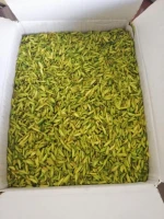Pistachio