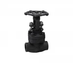 FORGED STEEL GLOBE VALVE