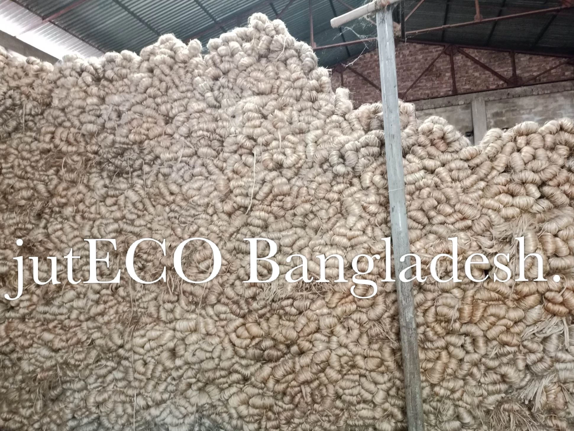 Buy Raw Jute from jutECO Bangladesh, Bangladesh