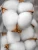 Import High Quality Raw Cotton for Export from Nigeria
