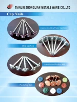 steel nail