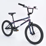 20" Freestyle BMX